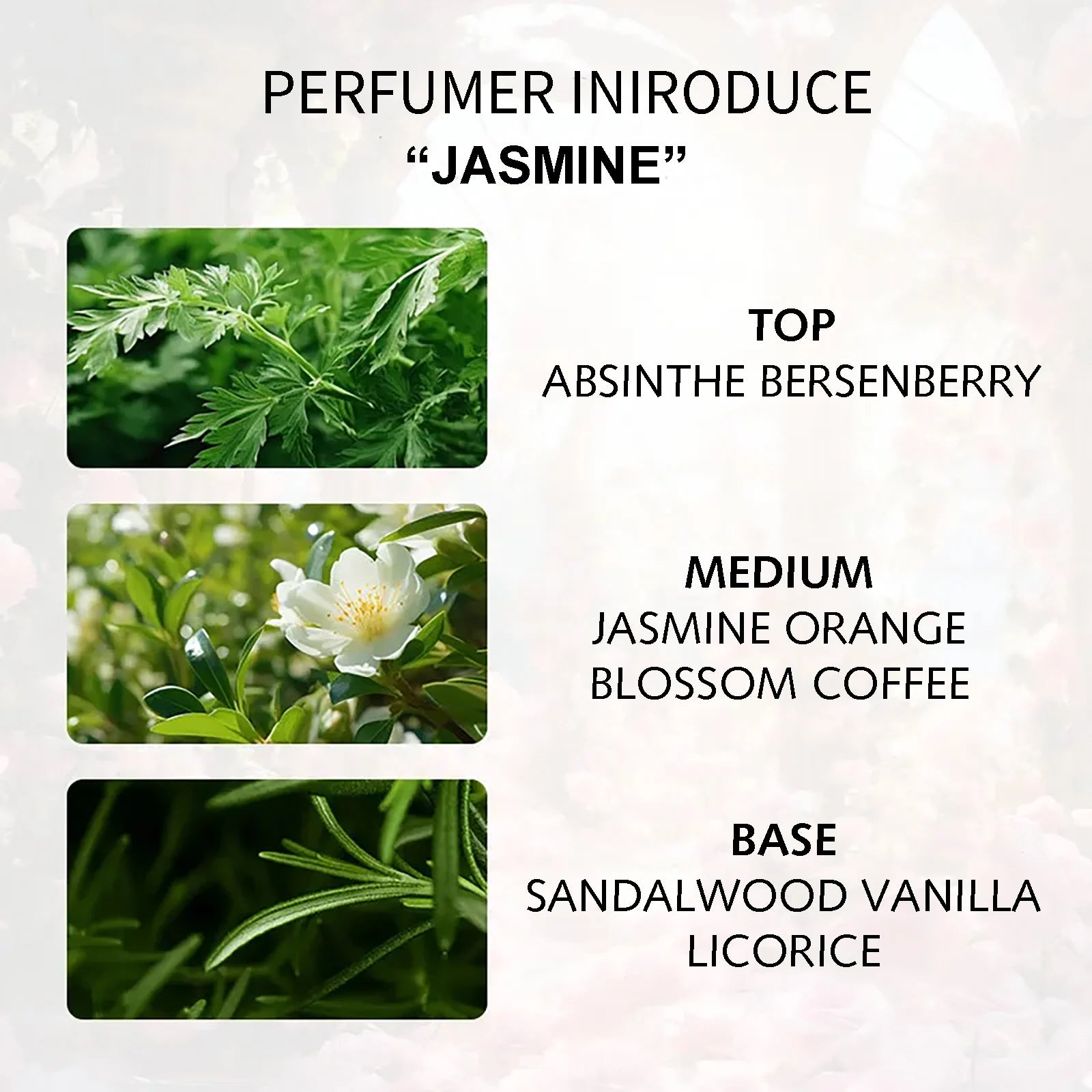 Jasmine Spice Eau de Parfum – Lasting Scent
